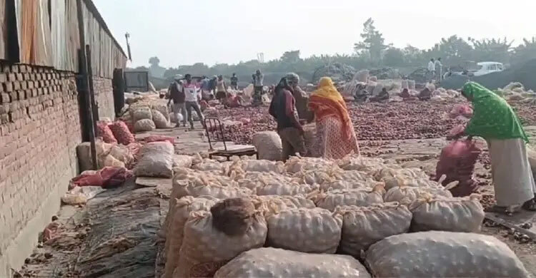 Indian onions rotting at border as exports to Bangladesh freeze