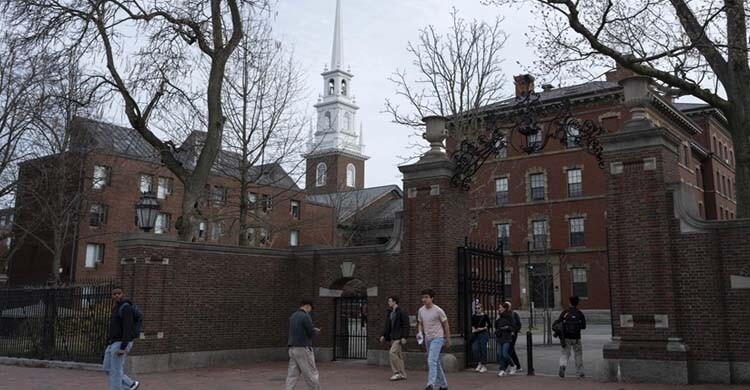 হামাসের পক্ষে অবস্থান নেওয়ায় হার্ভাডের ফান্ডিং বন্ধ: পেন্টাগন