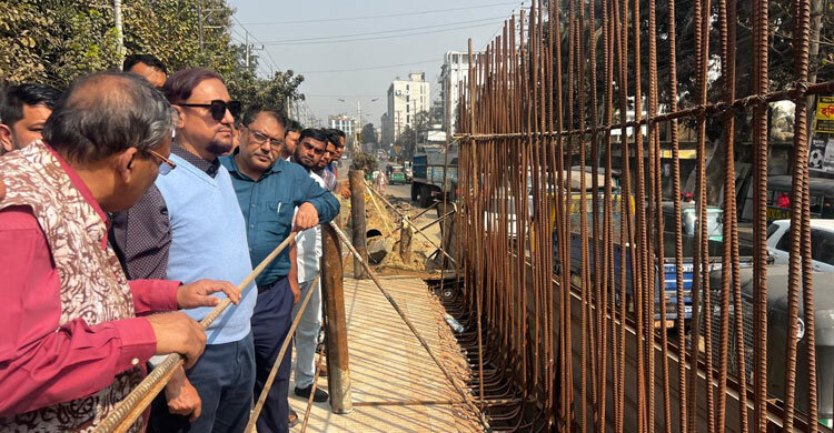 অক্সিজেনের ধসে পড়া সেতু পুনর্নির্মাণ করে খুলে দেওয়া হয়েছে