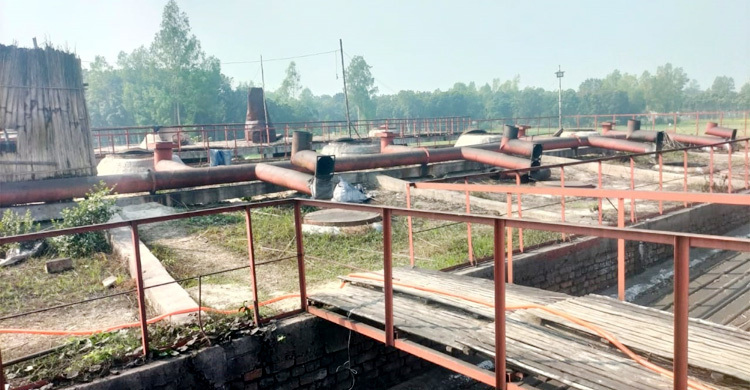 কালি উৎপাদন কারখানার ধোঁয়ায় বিপর্যস্ত জনজীবন, ফসলের ক্ষতি