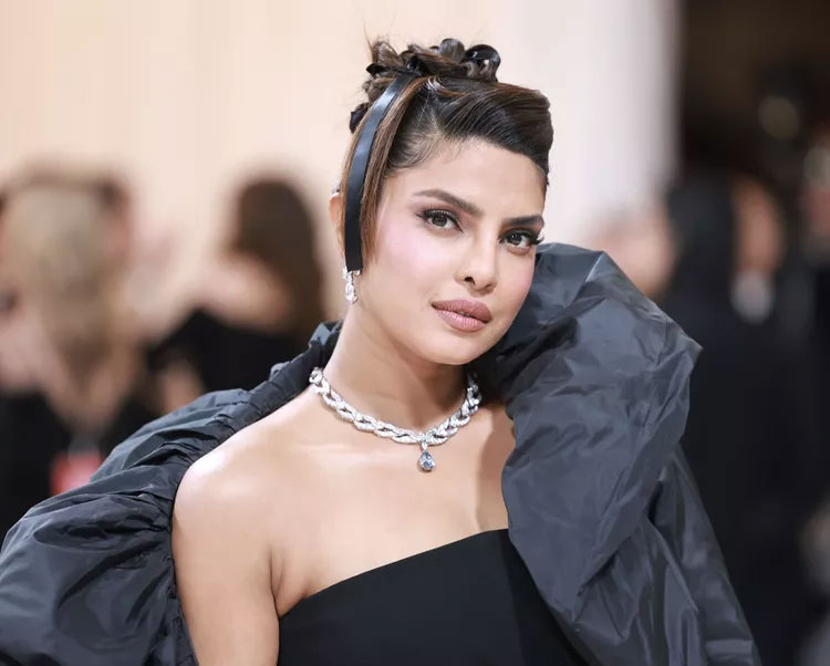 পছন্দের তালিকায় নেই দেশি খাবার, কটাক্ষের শিকার প্রিয়াঙ্কা