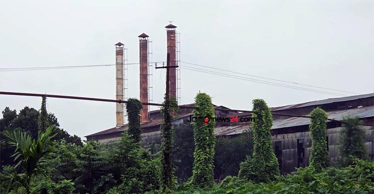 আখের অভাবে চালু হচ্ছে না পঞ্চগড় চিনিকল, শ্রমিকদের হাহাকার