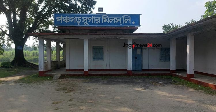 আখের অভাবে চালু হচ্ছে না পঞ্চগড় চিনিকল, শ্রমিকদের হাহাকার