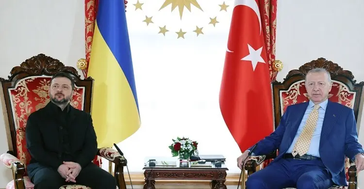 পুতিনের সঙ্গে ফোনালাপের পর এরদোয়ান-জেলেনস্কির সরাসরি বৈঠক