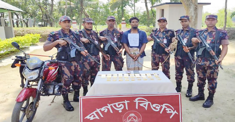 ভারতে পাচারের সময় ১৫ কোটি ১২ লাখ টাকার সোনা জব্দ