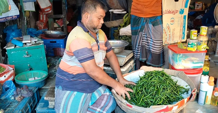 পটুয়াখালীতে কাঁচা মরিচের কেজিতে কমলো ৫০০ টাকা