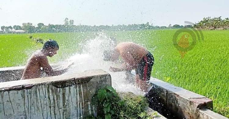 ঈশ্বরদীতে রেকর্ড ৪৩ ডিগ্রি তাপমাত্রা, বিপর্যস্ত জনজীবন