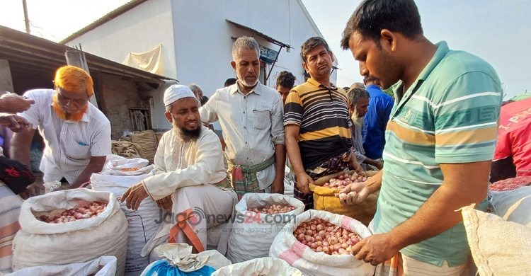 উৎপাদন খরচ ৩৮ বিক্রি ৫০, খুশি পেঁয়াজচাষিরা