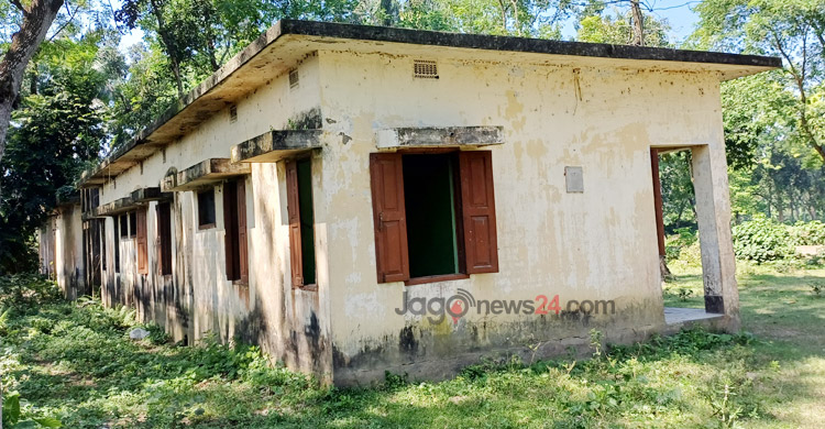 মৎস্য প্রজনন কেন্দ্র এখন ‌গো-চারণ ভূমি