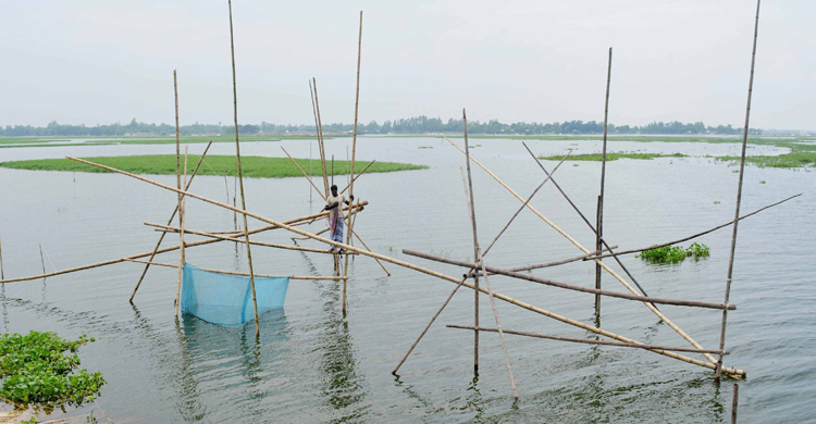 চলন ও গাজনার বিলে অবাধে মাছ নিধন, হুমকির মুখে অভয়াশ্রম