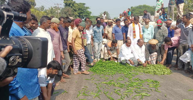 সড়কে সবজি ঢেলে হরতাল-অবরোধের প্রতিবাদ
