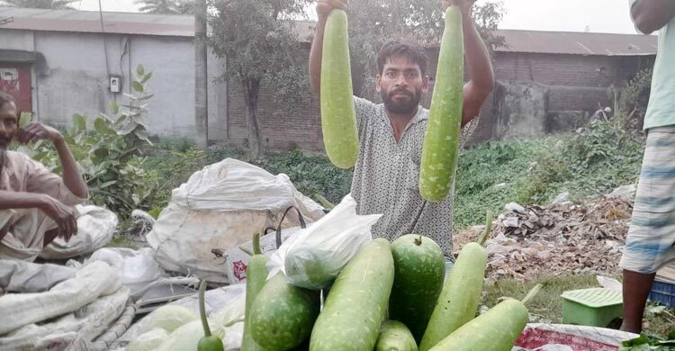 স্বাদের লাউ ১৫ টাকা জোড়া