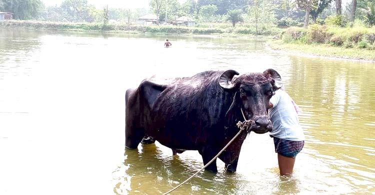 ঈশ্বরদীতে তীব্র তাপপ্রবাহ, সর্বোচ্চ তাপমাত্রা ৪০.৫ ডিগ্রি