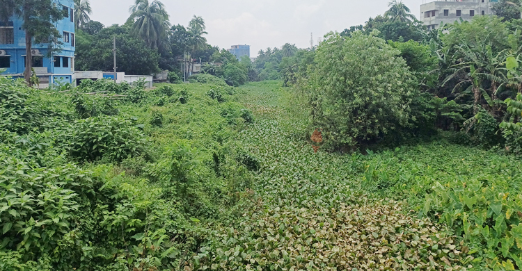 ইছামতীর প্রাণ ফিরতে বাধা দখলদারদের মামলা