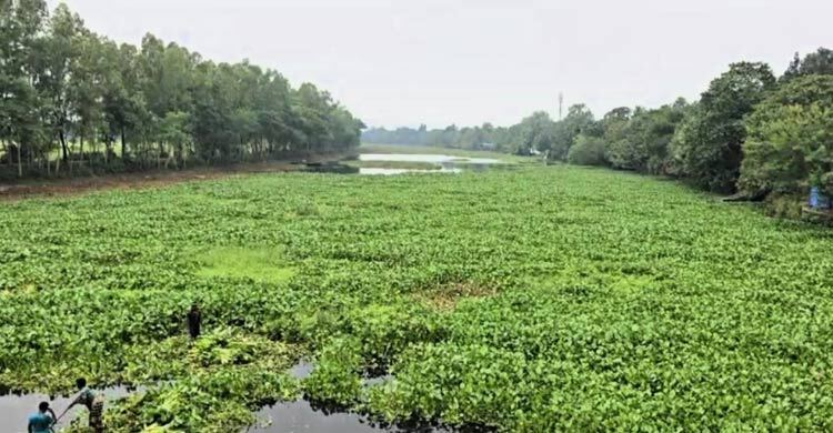 ইছামতী-পদ্মা ইজারা দিচ্ছে জেলা প্রশাসন