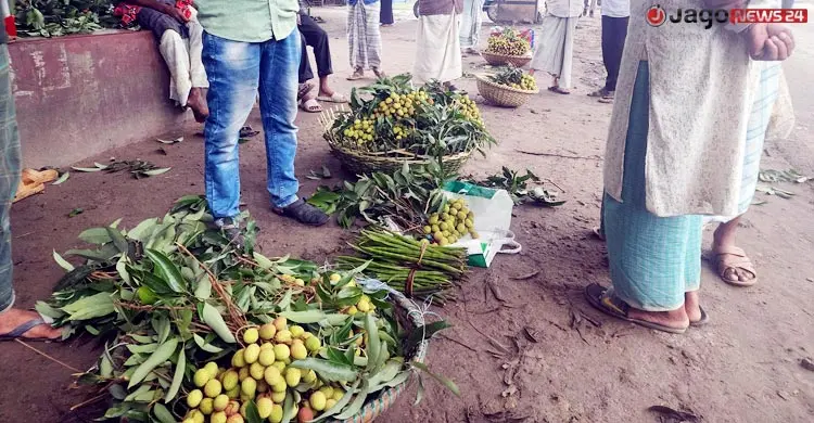 বাজারে অপরিপক্ব লিচুর ছড়াছড়ি, স্বাস্থ্যঝুঁকিতে শিশুরা