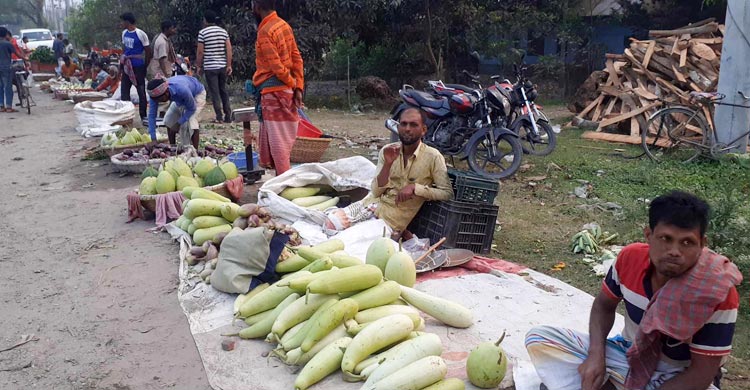 স্বাদের লাউ ১৫ টাকা জোড়া