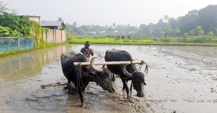 ঈশ্বরদীর ইতিহাসে সর্বোচ্চ তাপমাত্রা আজ