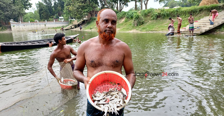 মাছ চাষে কোটিপতি রশিদ, প্রতিবছর সঞ্চয় ২০-২৫ লাখ টাকা