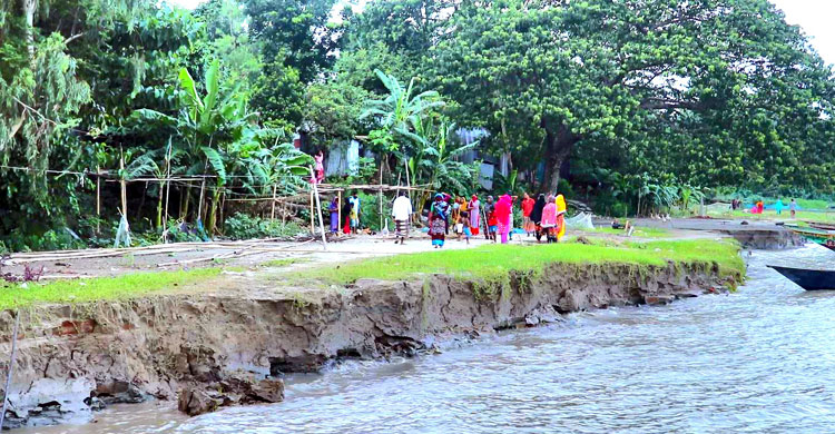 পদ্মার ভয়াবহ ভাঙনে বিলীনের মুখে নাজিরগঞ্জ ফেরিঘাট