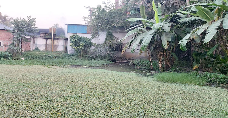 রাইস মিলের দুষিত পানিতে অবরুদ্ধ ৪৫ পরিবার