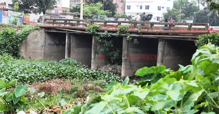 ইছামতি উদ্ধার প্রকল্পে কাটছাঁট, বাস্তবায়ন নিয়ে সংশয়