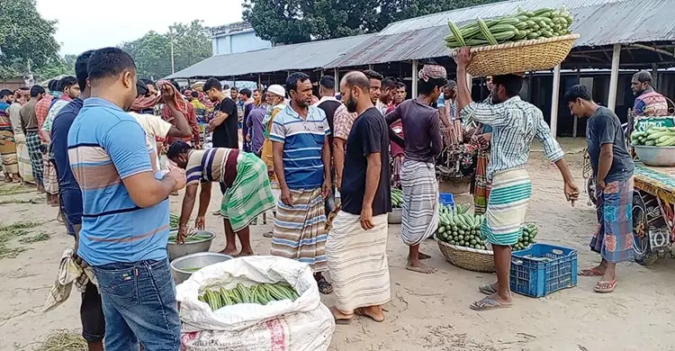 তিন কেজি সবজিতেও মিলছে না এক কেজি সারের দাম