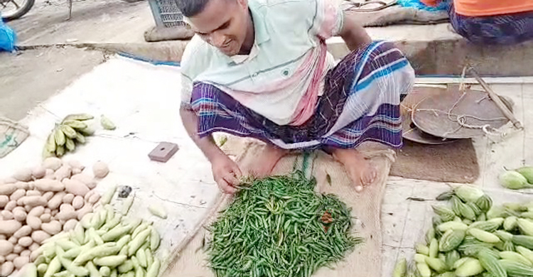 পাবনায় ১৭০ টাকায় বিক্রি হচ্ছে কাঁচা মরিচ