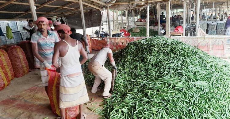 অস্বাভাবিক হারে কমেছে বেচাকেনা, কপাল পুড়ল কৃষকের