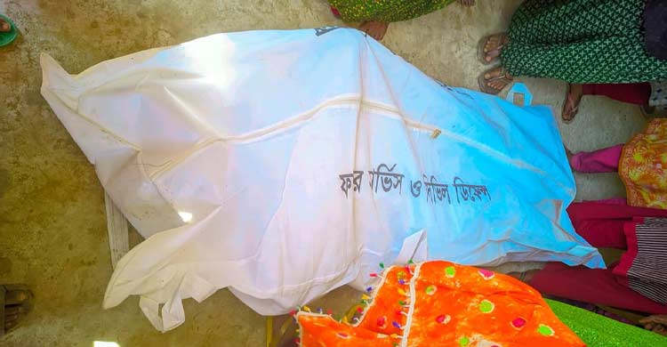 ঈশ্বরদীতে দিনের বেলা ভয়াবহ আগুন, প্রাণ গেলো ১২ ছাগলসহ গৃহবধূর