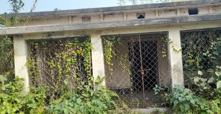 সোনালি অতীত হারিয়ে রেশম বীজাগার এখন ‘ভূতের’ ডেরা