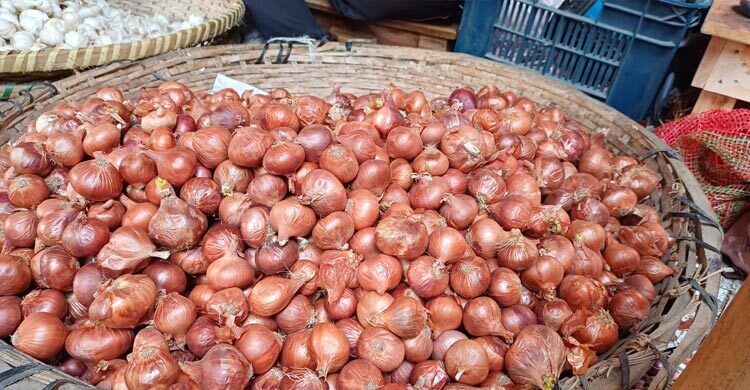 পাবনায় পেঁয়াজের দাম কমলো কেজিতে ৪০ টাকা