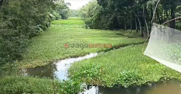 এক সময়ের আশীর্বাদ কমলা নদী এখন কৃষকের জন্য ‘অভিশাপ’