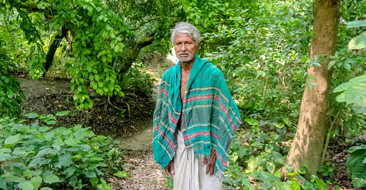 দখলে বিলীন হচ্ছে পাখিবন্ধুর অভয়াশ্রম