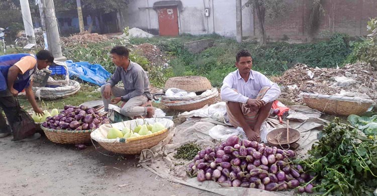 ঈশ্বরদীতে ৫ টাকা কেজি বেগুন