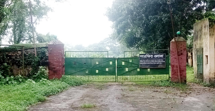 ঘোষণাতেই থেমে আছে পাবনা চিনিকল চালুর কার্যক্রম