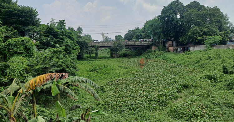 ইছামতীর প্রাণ ফিরতে বাধা দখলদারদের মামলা