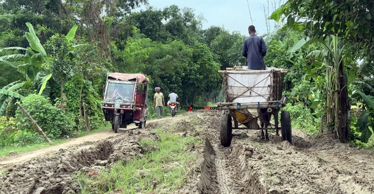 সাড়ে ৩ কিলোমিটার বেহাল সড়কে আটকে ১০ গ্রামের অর্থনীতি