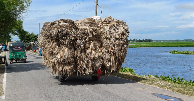 সড়কে বদলে গেছে কৃষির চিত্র