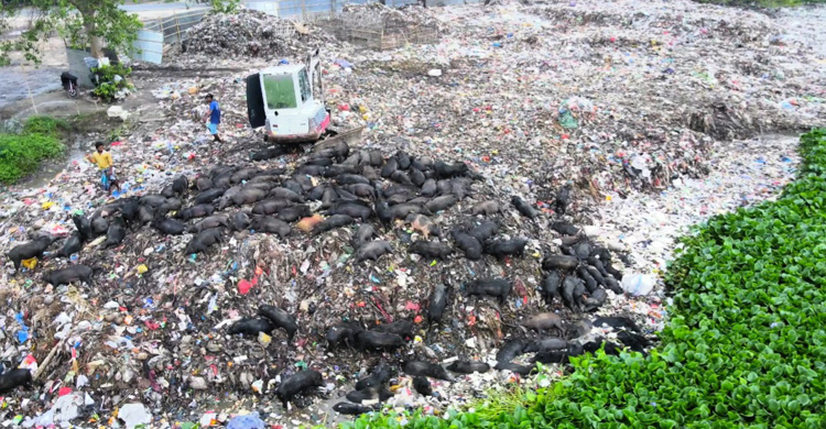 ময়লার গন্ধে নাক চেপে ক্লাস করছে শিক্ষার্থীরা