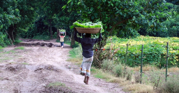 সাড়ে ৩ কিলোমিটার বেহাল সড়কে আটকে ১০ গ্রামের অর্থনীতি