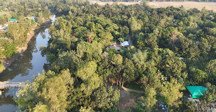 দখলে বিলীন হচ্ছে পাখিবন্ধুর অভয়াশ্রম