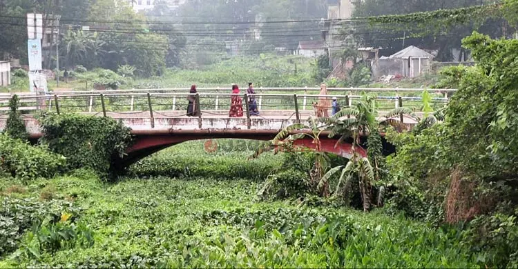 ইছামতি উদ্ধার প্রকল্পে কাটছাঁট, বাস্তবায়ন নিয়ে সংশয়