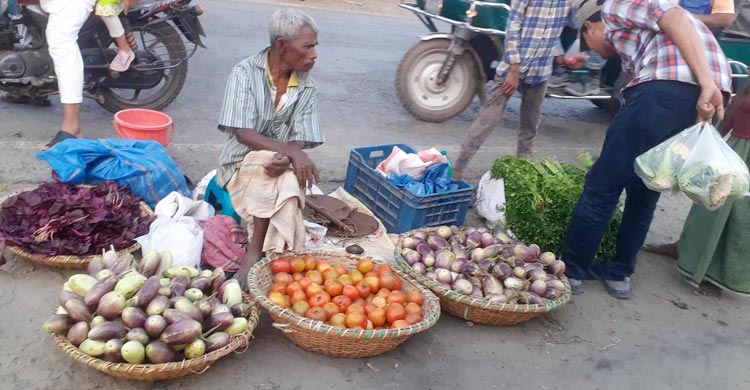 ঈশ্বরদীতে ৫ টাকা কেজি বেগুন