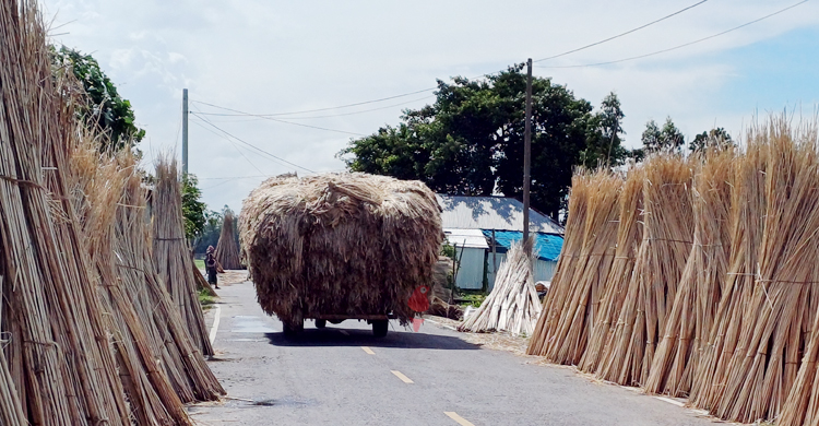 সড়কে বদলে গেছে কৃষির চিত্র