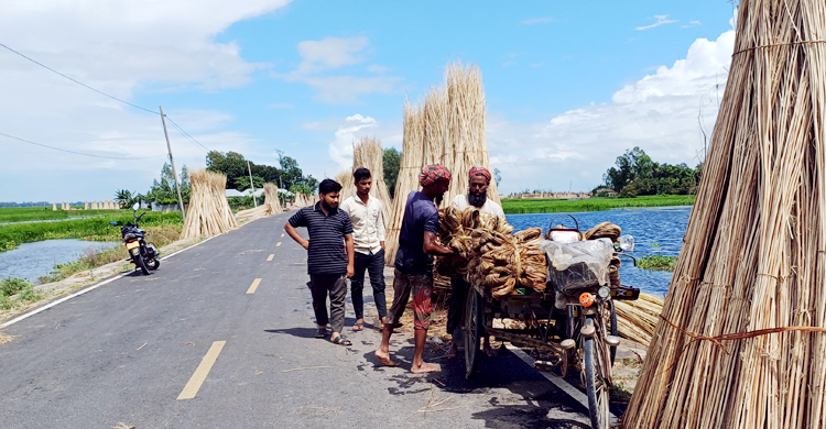 সড়কে বদলে গেছে কৃষির চিত্র