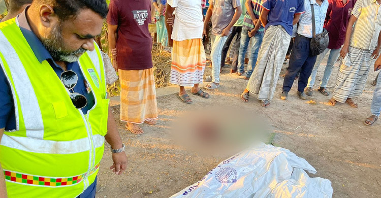 3 die as covered van hits motorbike in Pabna