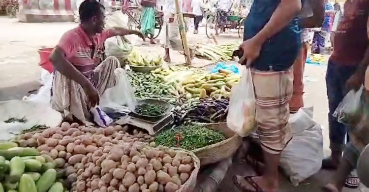 পাবনায় ১৭০ টাকায় বিক্রি হচ্ছে কাঁচা মরিচ