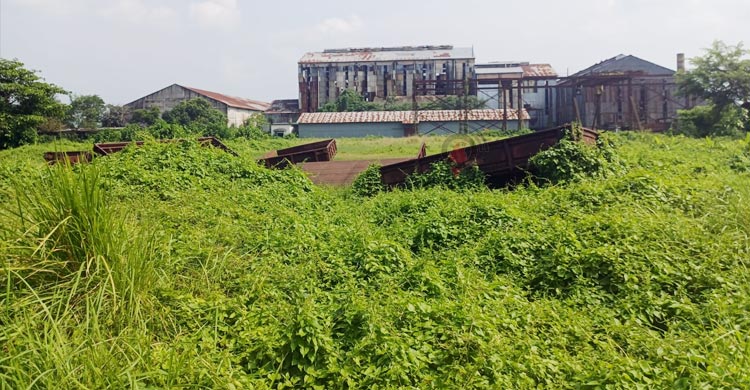 ঘোষণায় বছর পার, মিল চালুর উদ্যোগ না পেয়ে বাড়ছে উদ্বেগ