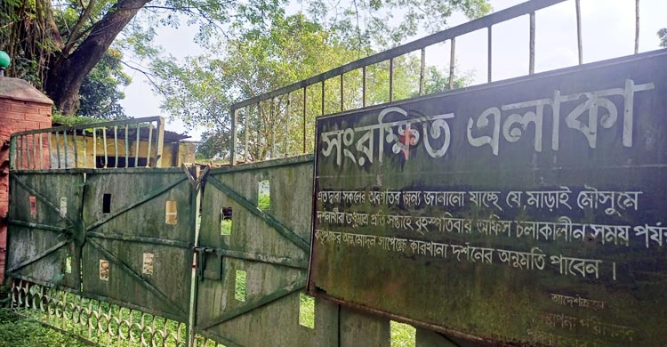 ঘোষণায় বছর পার, মিল চালুর উদ্যোগ না পেয়ে বাড়ছে উদ্বেগ